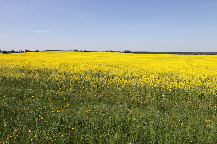 Беларусь. Путевые заметки bel1 002