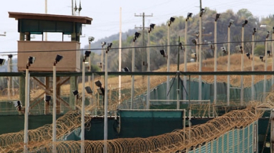 Цветы американской демократии