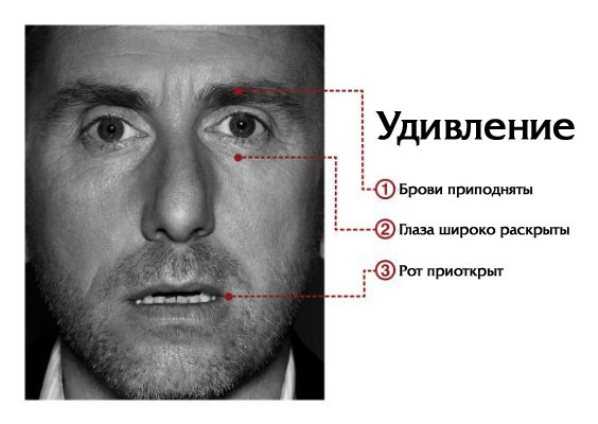 Ученые составили карту, показывающую, где мы чувствуем эмоции
