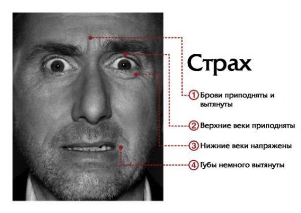 Ученые составили карту, показывающую, где мы чувствуем эмоции