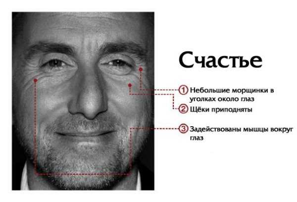 Ученые составили карту, показывающую, где мы чувствуем эмоции