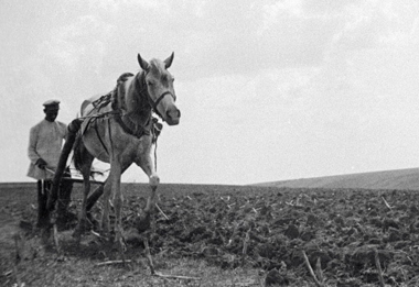 Частная собственность – не частный вопрос