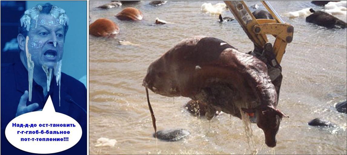 Целый Мир не обмануть!