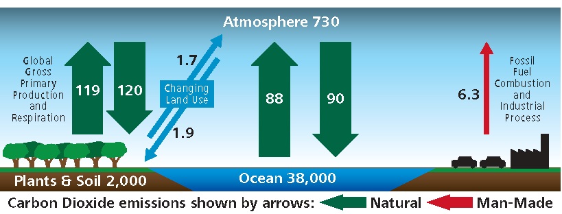 Целый Мир не обмануть!