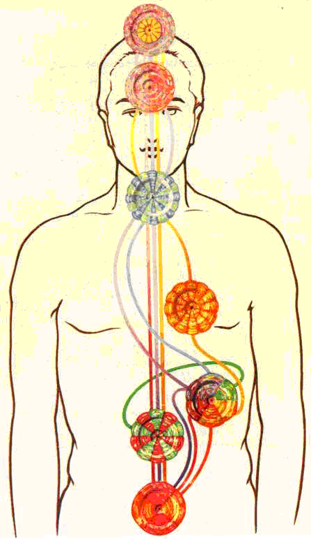 Чакры: Разноцветные цветы лотоса Чакры: Разноцветные цветы лотоса