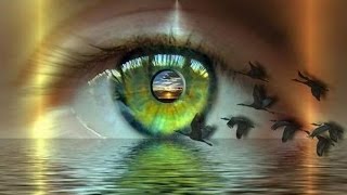 Феномены человеческого зрения 