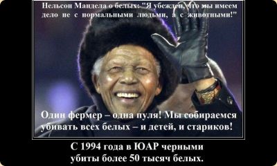 Голубь мира с кровавым клювом