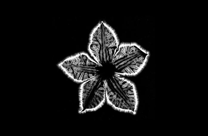 Излучение, исходящее от людей