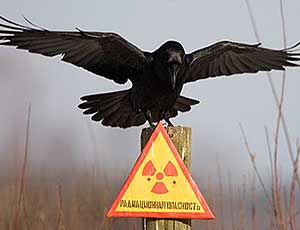 У США заканчивается ядерное топливо из российских боеголовок