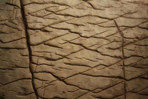 Ископаемая каменная карта Урала