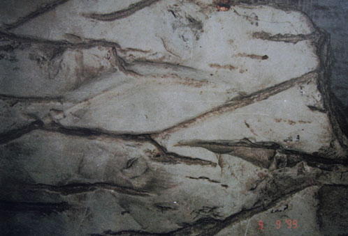 Ископаемая каменная карта Урала