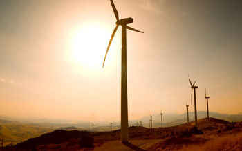 КРАСНАЯ ЦЕНА «ЗЕЛЕНОЙ ЦЕНЫ» 