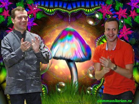 О галлюцинациях и «электронных услугах» нашего правительства