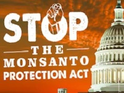 Корпорацию Монсанто поставили выше судебной власти и права человека на жизнь