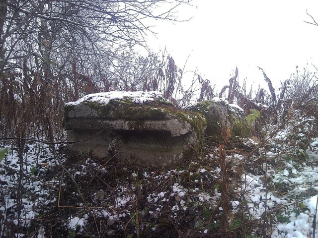 Мегалиты Индомана