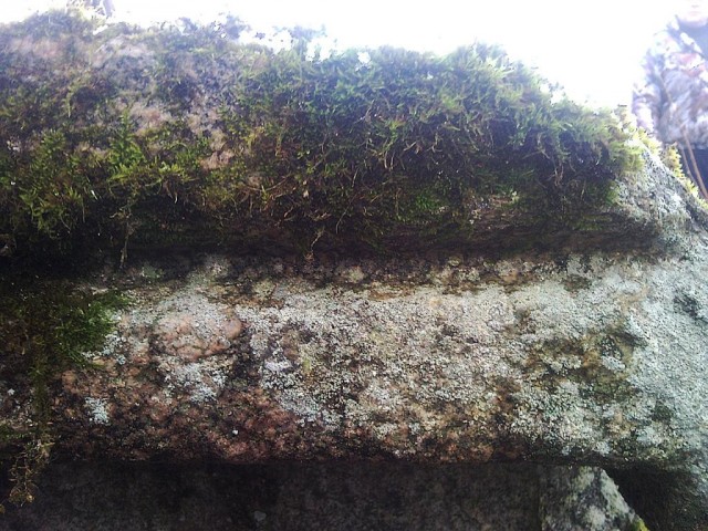 Мегалиты Индомана