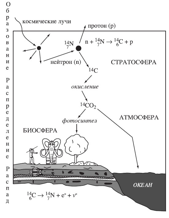 nНасколько точен радиоуглеродный метод датирования?