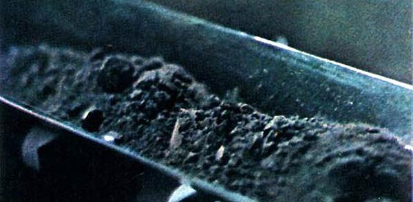 Почему НАСА прячет «лунный грунт» от всего мира?