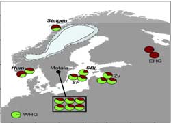 Первые скандинавы пришли с севера и юга