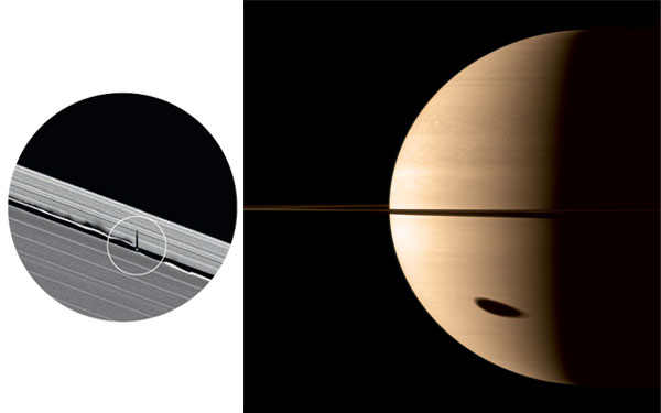 Звезды и кольца Людовика XIV