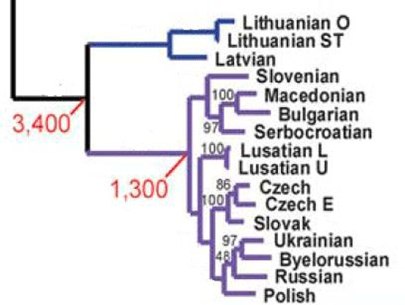 Славяне, русские и их недруги
