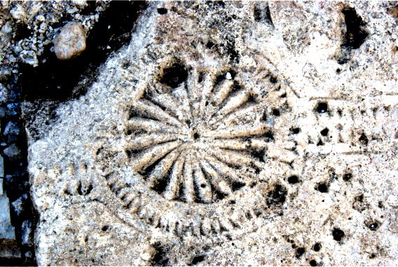 Серьёзный разговор про рождественскую ёлку, Деда Мороза и Новый Год