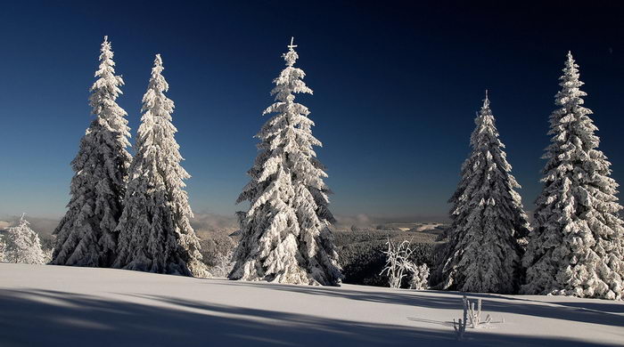 Серьёзный разговор про рождественскую ёлку, Деда Мороза и Новый Год.