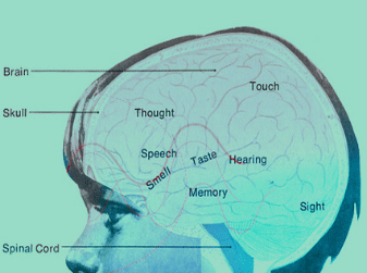 Скрытые смыслы миграции. Кто стоит во главе вторжения
