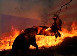 США закинули завуалированный ультиматум России