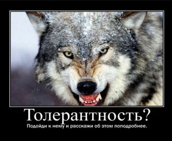 «Толерантность» убивает русских
