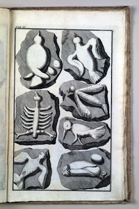 Ложные камни