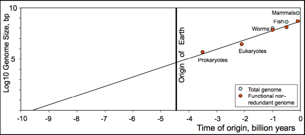 Даже банальнейшие прокариоты, существовавшие более 3 млрд лет назад, как уверяют нас, слишком сложны, чтобы успеть возникнуть на Земле. (Здесь и ниже иллюстрации A. Sharov et al.)