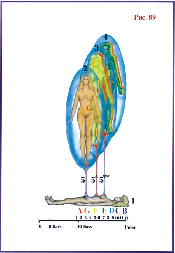 Жизнь после Жизни. Наказание за грехи. Карма