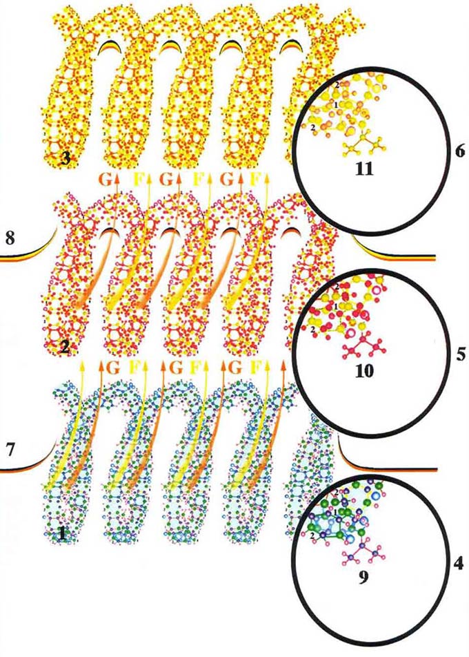 Жизнь после Жизни. Наказание за грехи. Карма