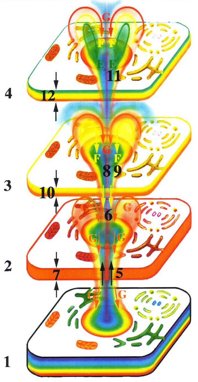 Жизнь после Жизни. Наказание за грехи. Карма